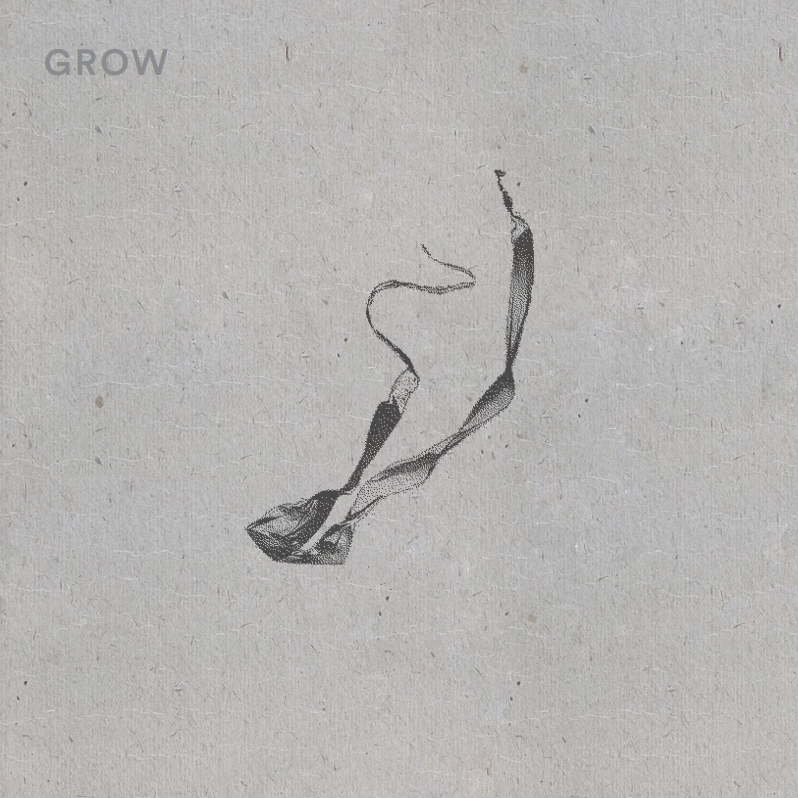 JANEK SPRACHTA – GROW 1