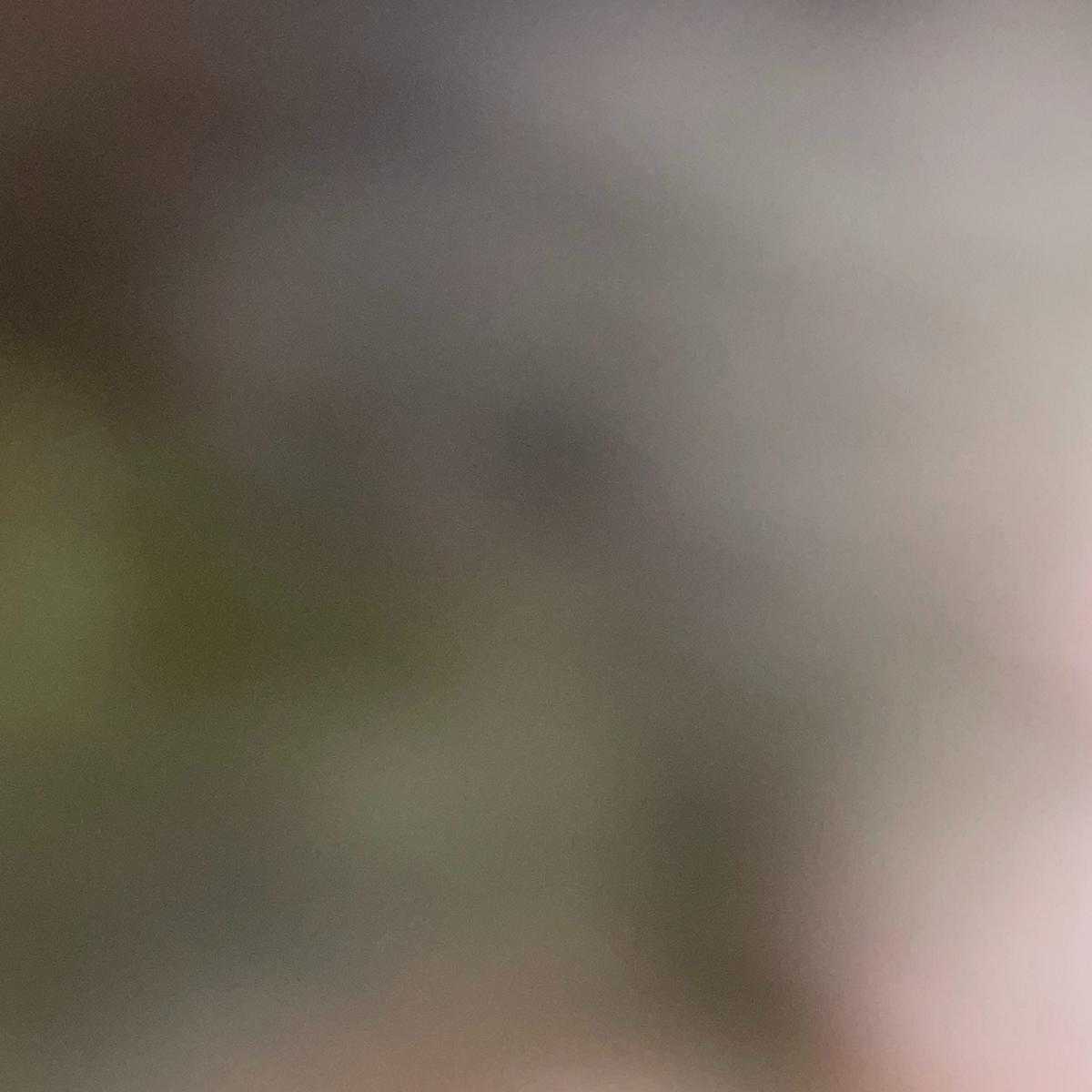 MD 158: RSN - CUTOUTS #1 7 MD 158: RSN - CUTOUTS #1 7