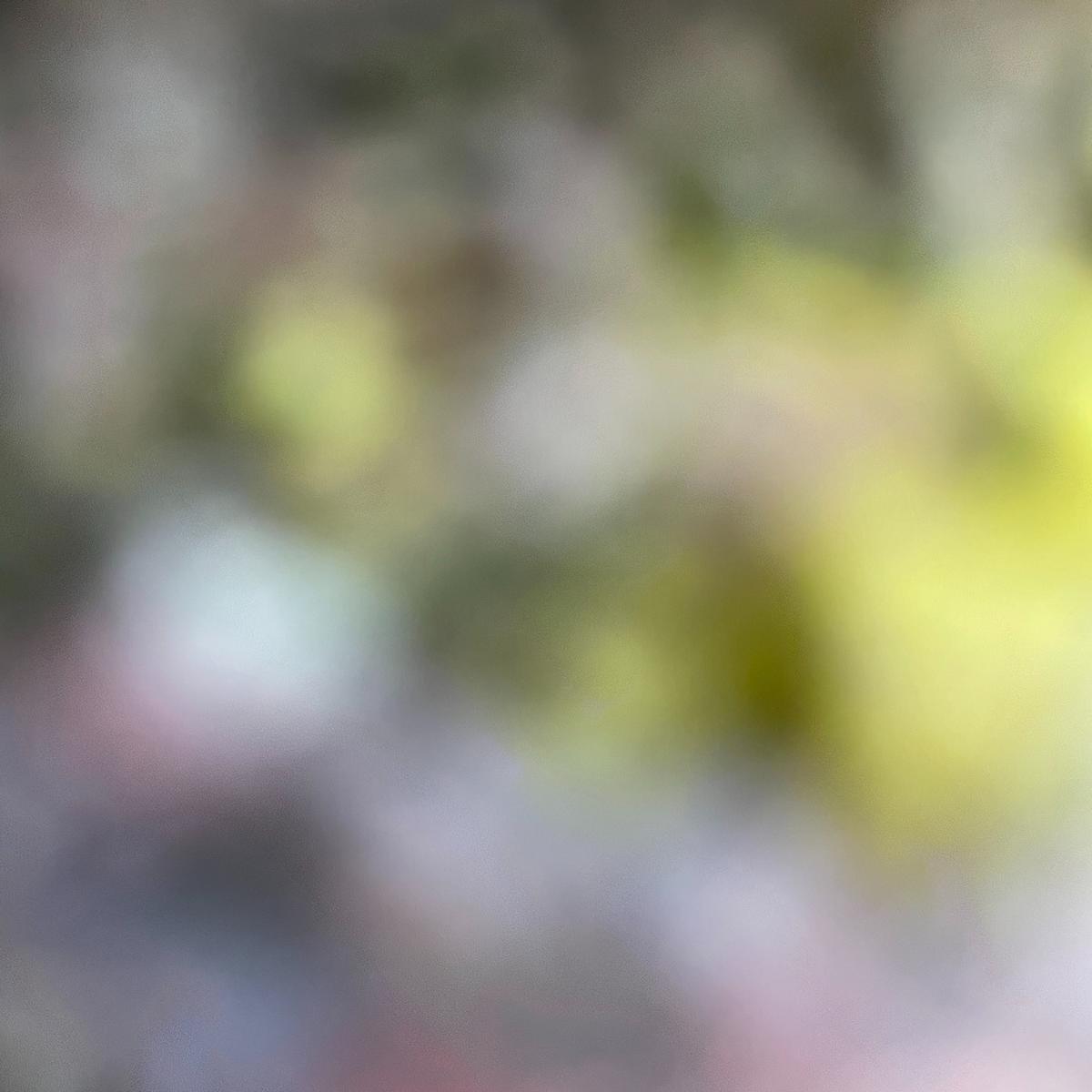 MD 158: RSN - CUTOUTS #1 2 MD 158: RSN - CUTOUTS #1 2