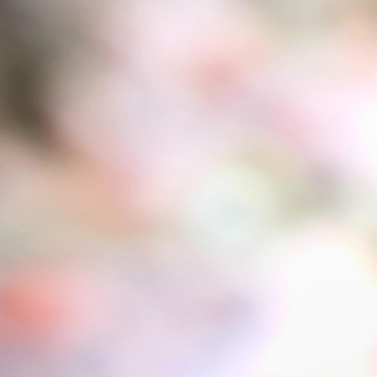 MD 158: RSN - CUTOUTS #1 6 MD 158: RSN - CUTOUTS #1 6